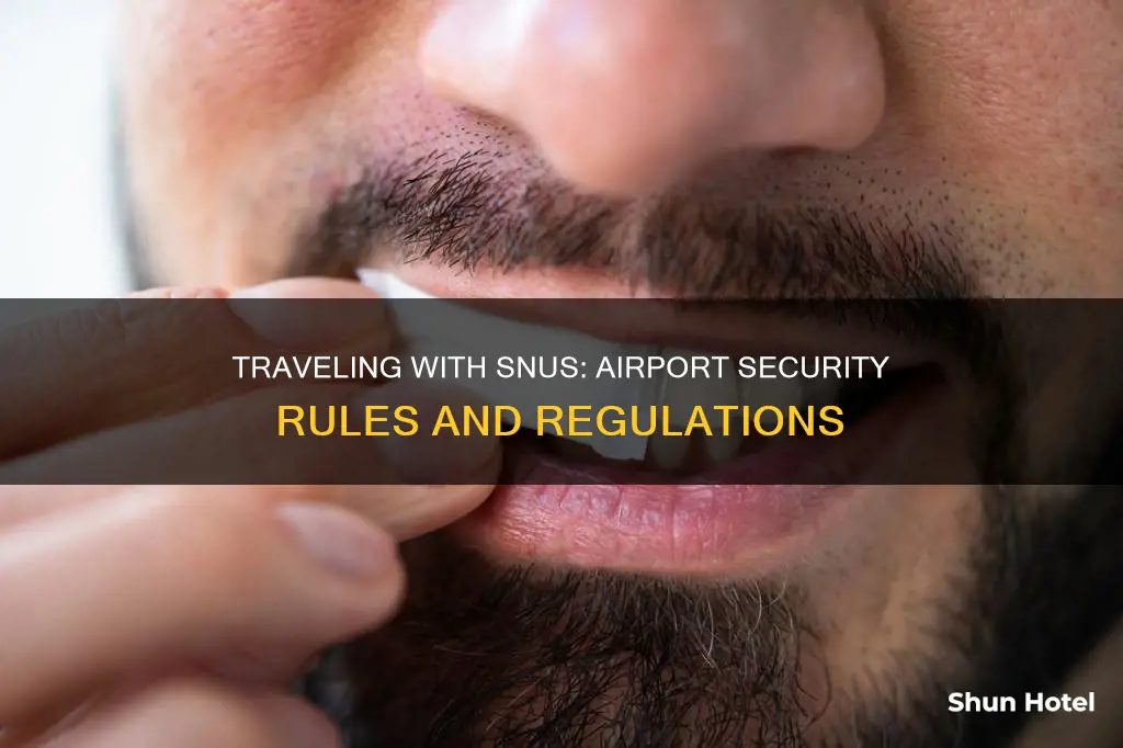 can you bring snus through airport security