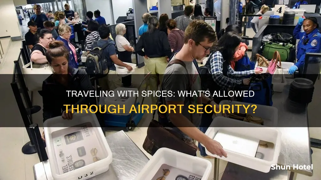 can you bring spices through airport security