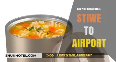 Airport Security: Can You Bring Steel Stew?