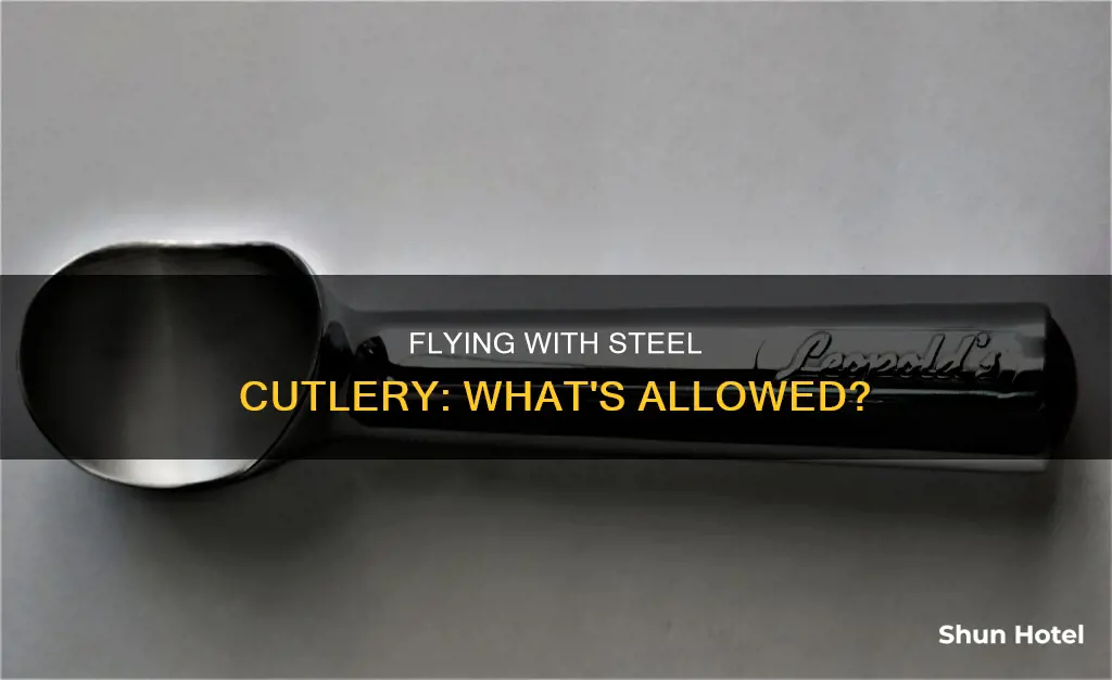 can you bring steel spone ro airport