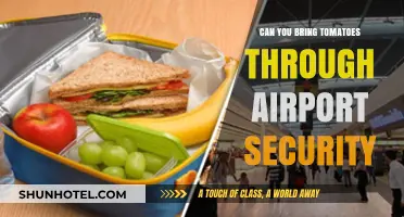 Traveling with Tomatoes: Airport Security Rules Explained