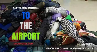 Umbrellas at the Airport: What You Should Know