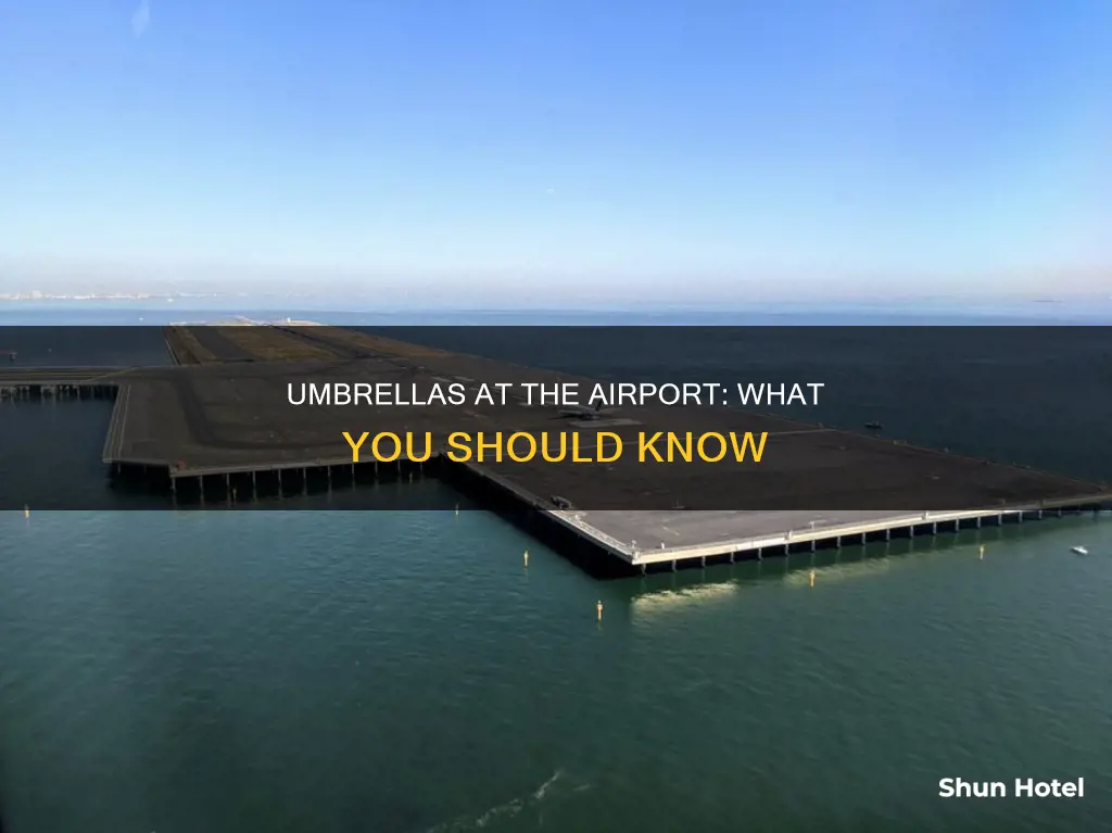 can you bring umbrellas to the airport