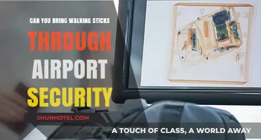 Airport Security: Walking Sticks and What You Need to Know