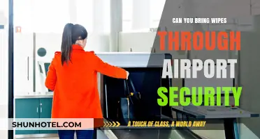 Airport Security and Wipes: What's Allowed?