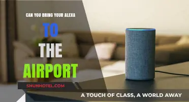 Traveling with Alexa: Airport Companion?