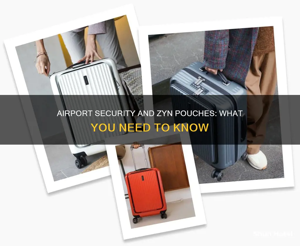 can you bring zyns through airport security