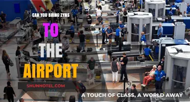 Airport Zyn Conundrum: What's the Deal?