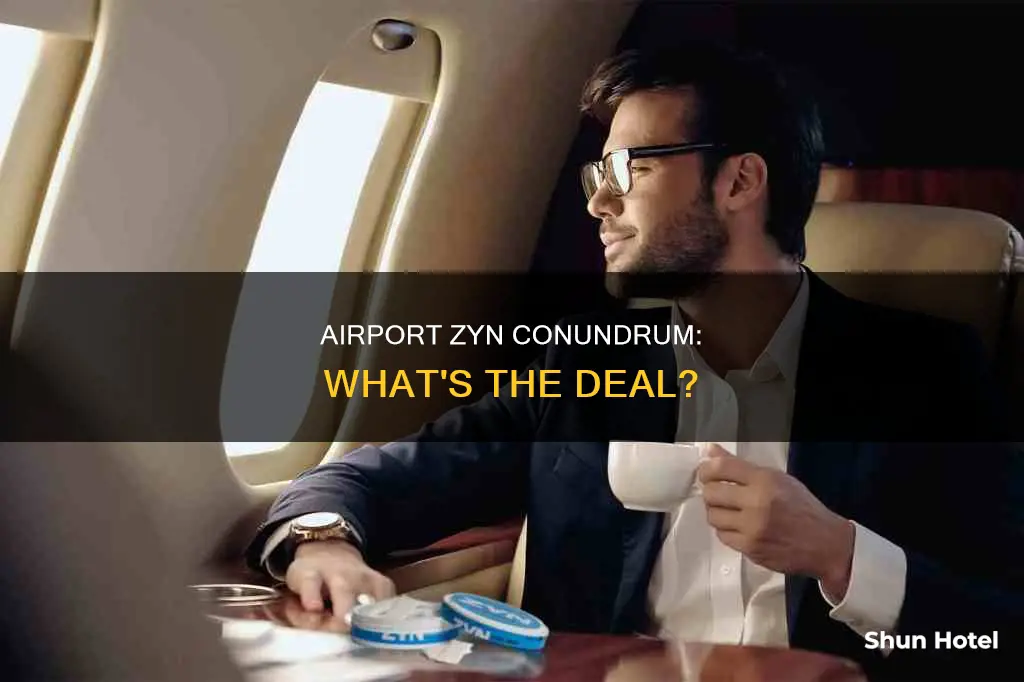 can you bring zyns to the airport