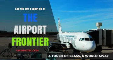 Purchasing Carry-Ons: Airport or Before Frontier Flight?
