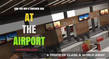 Last-Minute Checked Baggage: Buying at the Airport