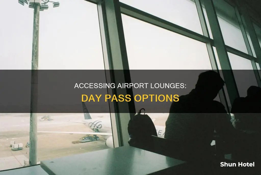 can you buy a day pass to airport lounges