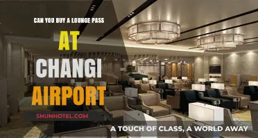 Lounge Access at Changi: Can You Buy a Pass?