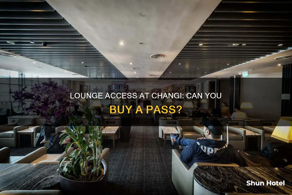 can you buy a lounge pass at changi airport