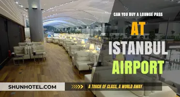Lounge Access at Istanbul Airport: Pre-Book or Walk-In?