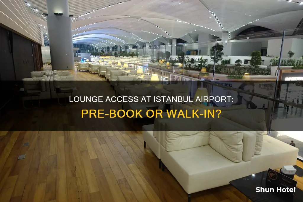 can you buy a lounge pass at istanbul airport