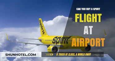 Spirit Airlines: Buying Tickets at the Airport