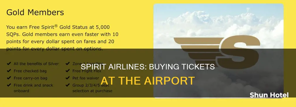 can you buy a spirit flight at airport