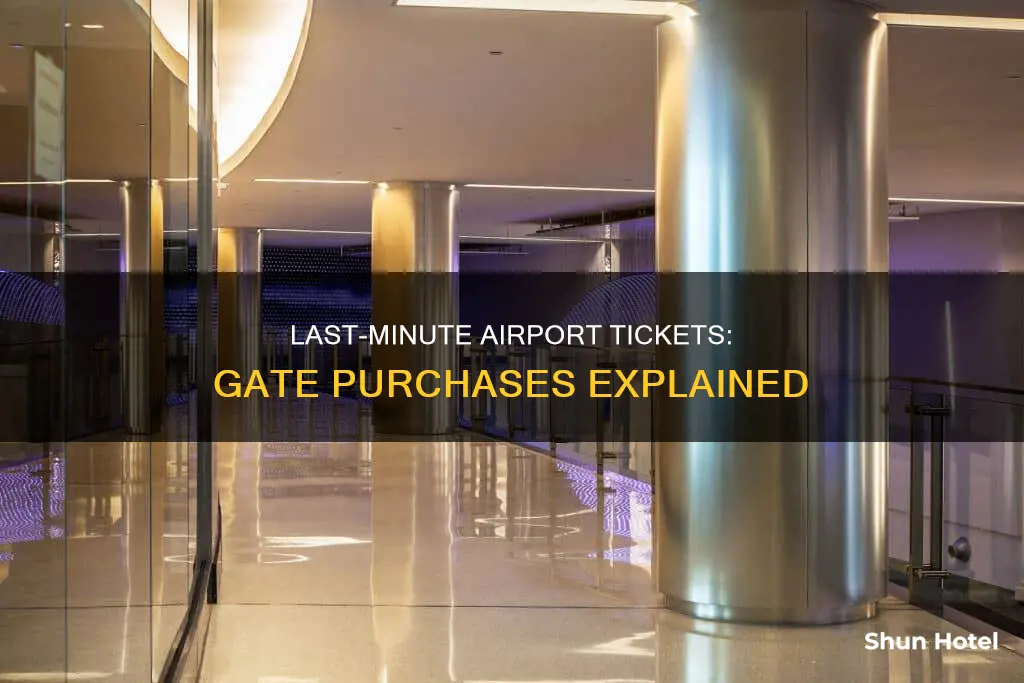 can you buy a ticket at the gate airport