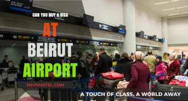 Beirut Airport Visa: Can You Purchase On Arrival?
