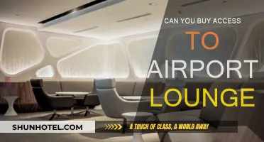 Accessing Airport Lounges: Can You Buy Your Way In?