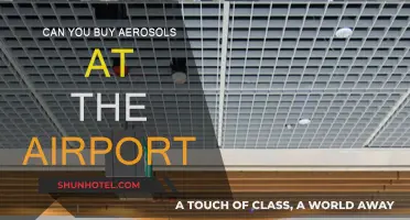Aerosols and Air Travel: What's Allowed?