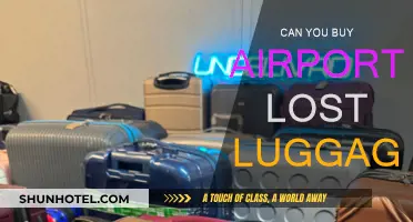 Lost Luggage Auctions: Buying Unclaimed Airport Treasures