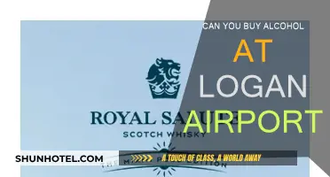 Where to Buy Alcohol at Logan Airport