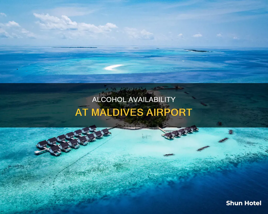 can you buy alcohol at maldives airport
