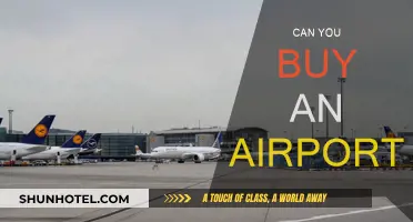How to Own an Airport: A Guide