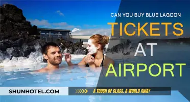 Blue Lagoon Tickets: Airport Availability and Access