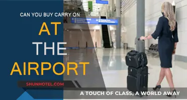 Where to Buy Carry-On Luggage: Airport Edition