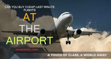Last-Minute Flight Deals: Can You Score Cheap Tickets at Airports?