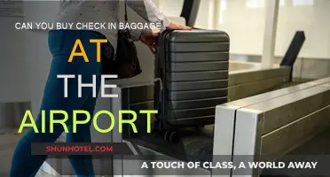 Purchasing Checked Baggage: Airport Options and Costs