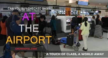 Purchasing Checked Bags: An Airport Option?