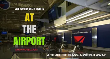 Purchasing Delta Tickets: Airport Kiosks or Counters?