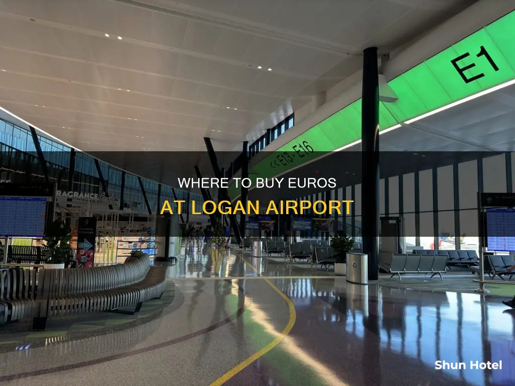 can you buy euros at logan airport