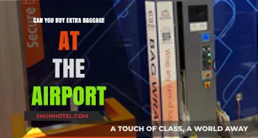 Last-Minute Baggage Blues: Buying Extra at the Airport