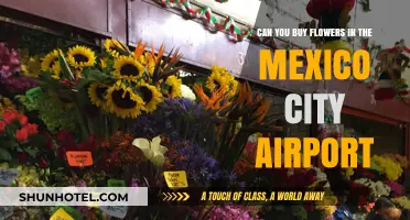 Buying Flowers at Mexico City Airport: Is it Possible?