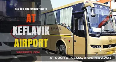 Purchasing Flybus Tickets at Keflavik Airport: Is it Possible?