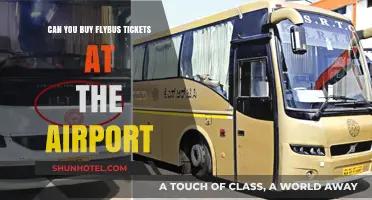 Purchasing FlyBus Tickets: Airport Kiosks or Online?