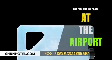 Ice Packs: Available at Airports?
