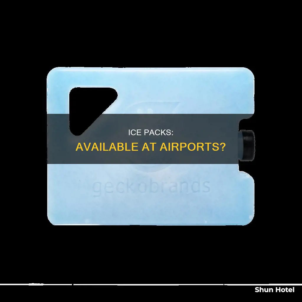 can you buy ice packs at the airport