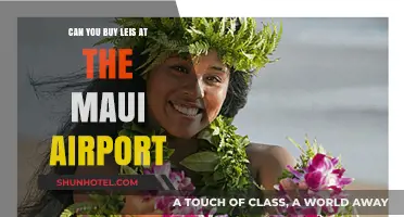 Where to Buy Leis at Maui Airport