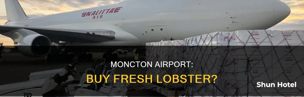 can you buy lobster at moncton airport
