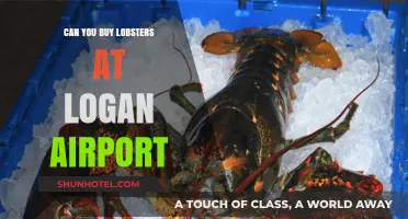 Lobster Shopping at Logan Airport: Where to Buy?