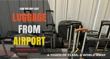 Unclaimed Baggage: Airports' Lost Treasures for Sale