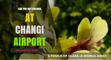 Where to Buy Orchids at Changi Airport