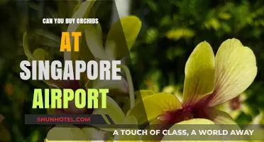 Where to Buy Orchids in Singapore: Airport Shopping