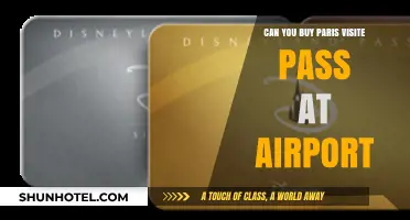 Paris Visite Pass: Airport Purchase?